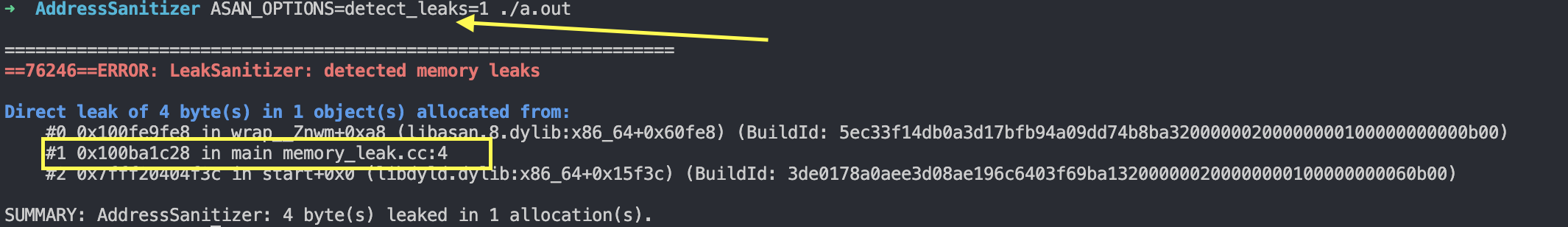 memory_leak